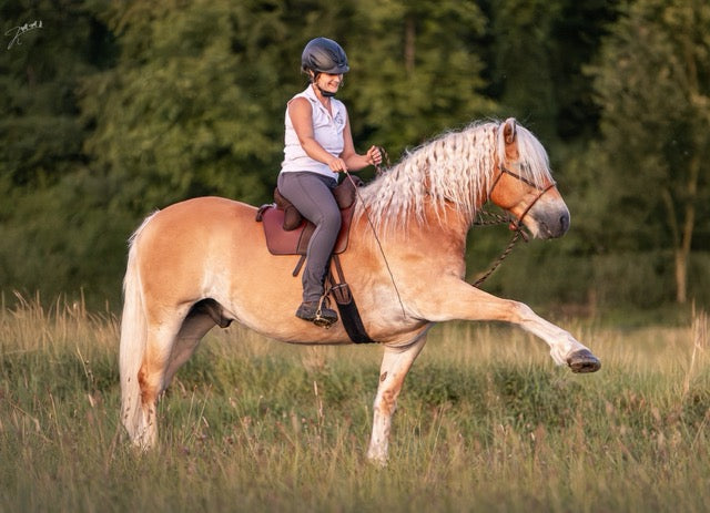 Teilnehmerplatz "Reiten mit Gefühl - Wenn alles endlich leicht wird!"